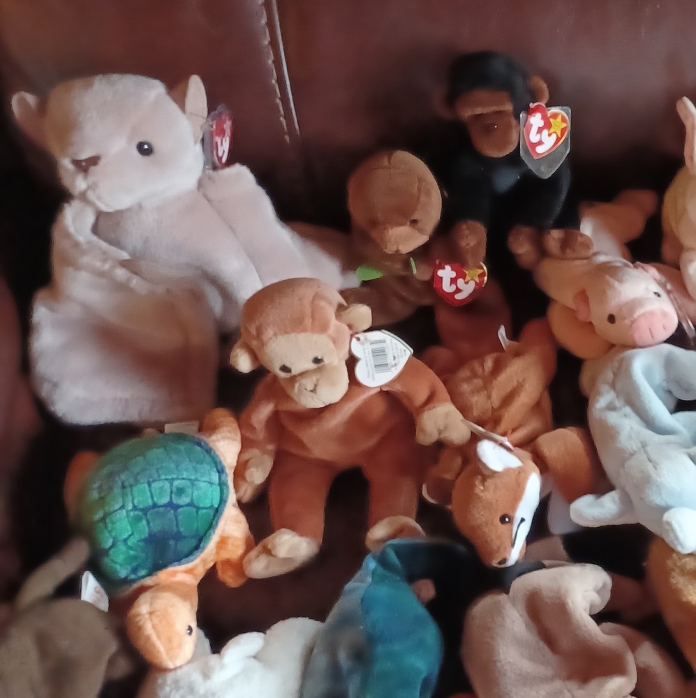 Beanie Baby Bundle - Picture 4 of 4